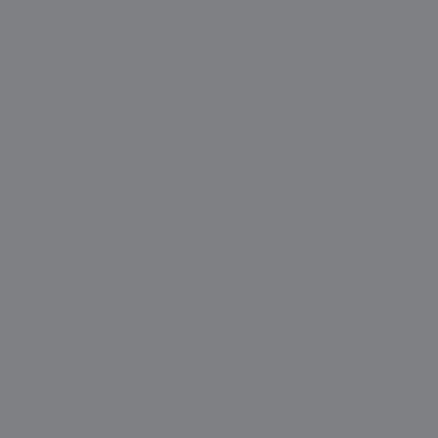 Gris foncé - RAL 7037