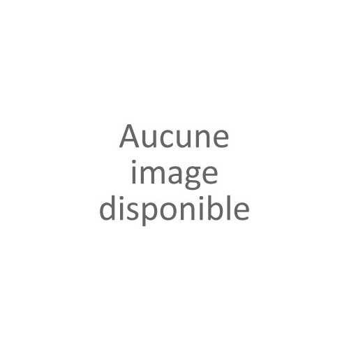 Laquage RAL spécial